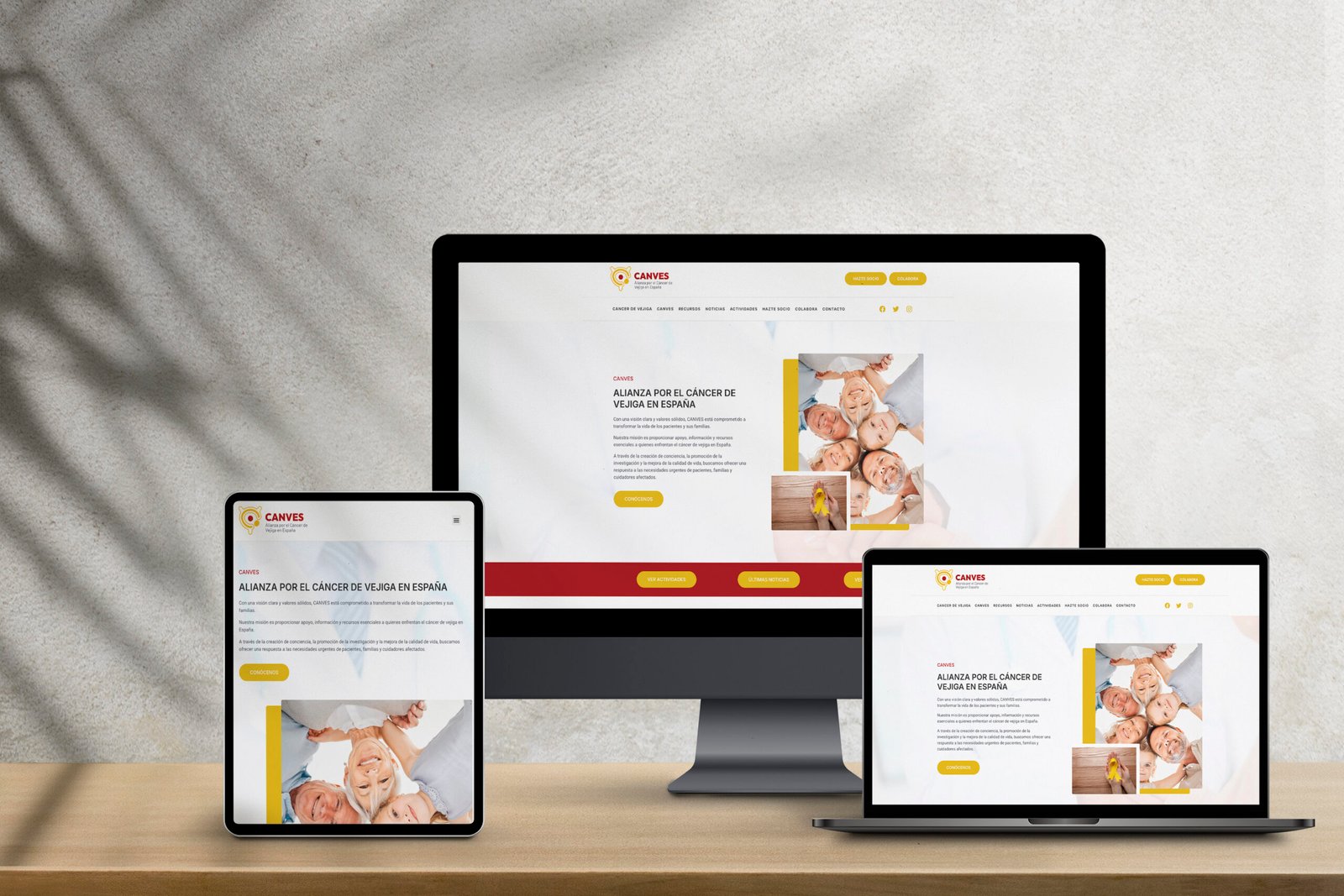 Desarrollo Web - Sitios web responsivos